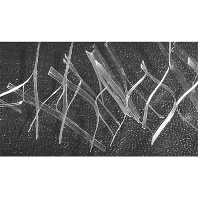 The difference between PP fiber material and drawing material